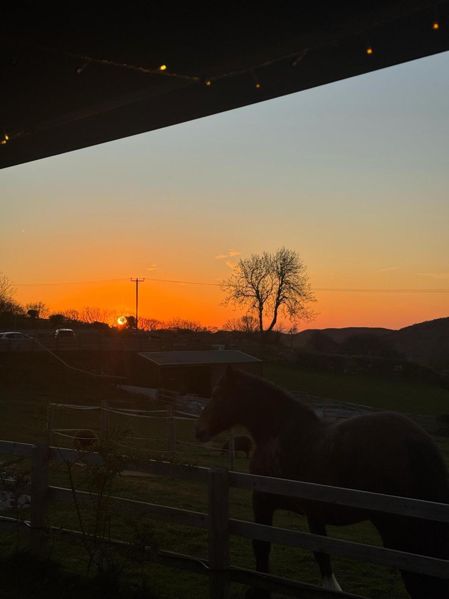 Tan Y Bryn Glamping Camping *