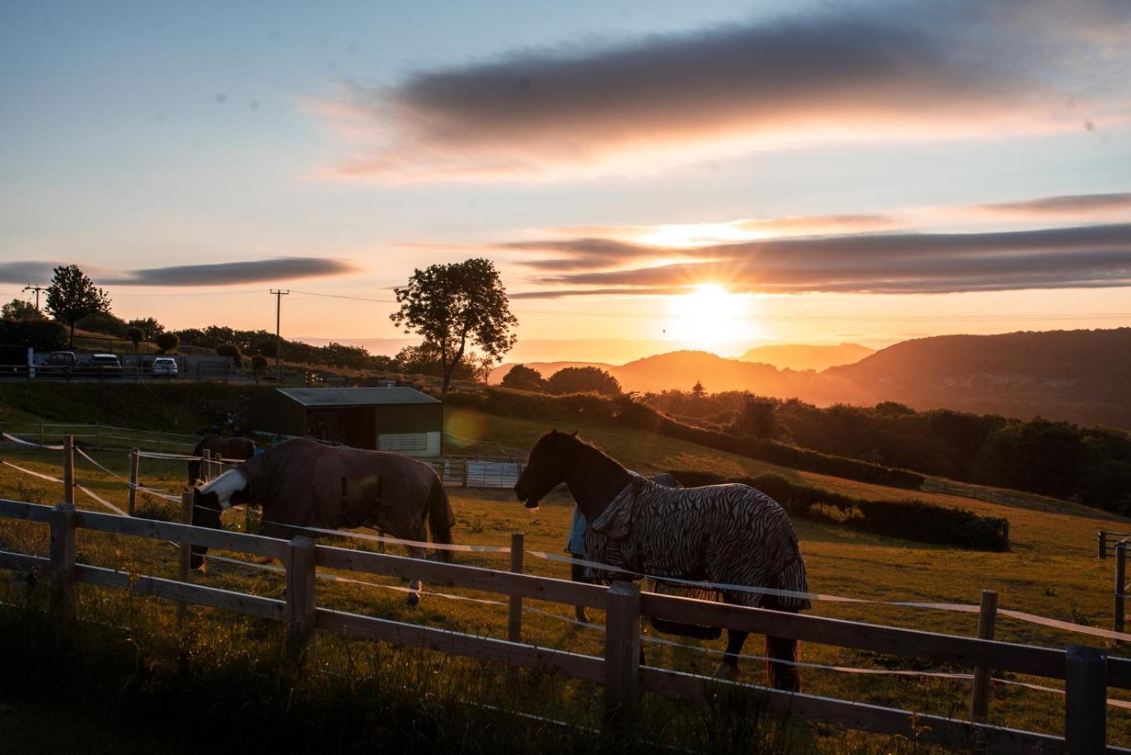 Tan Y Bryn Glamping Camping