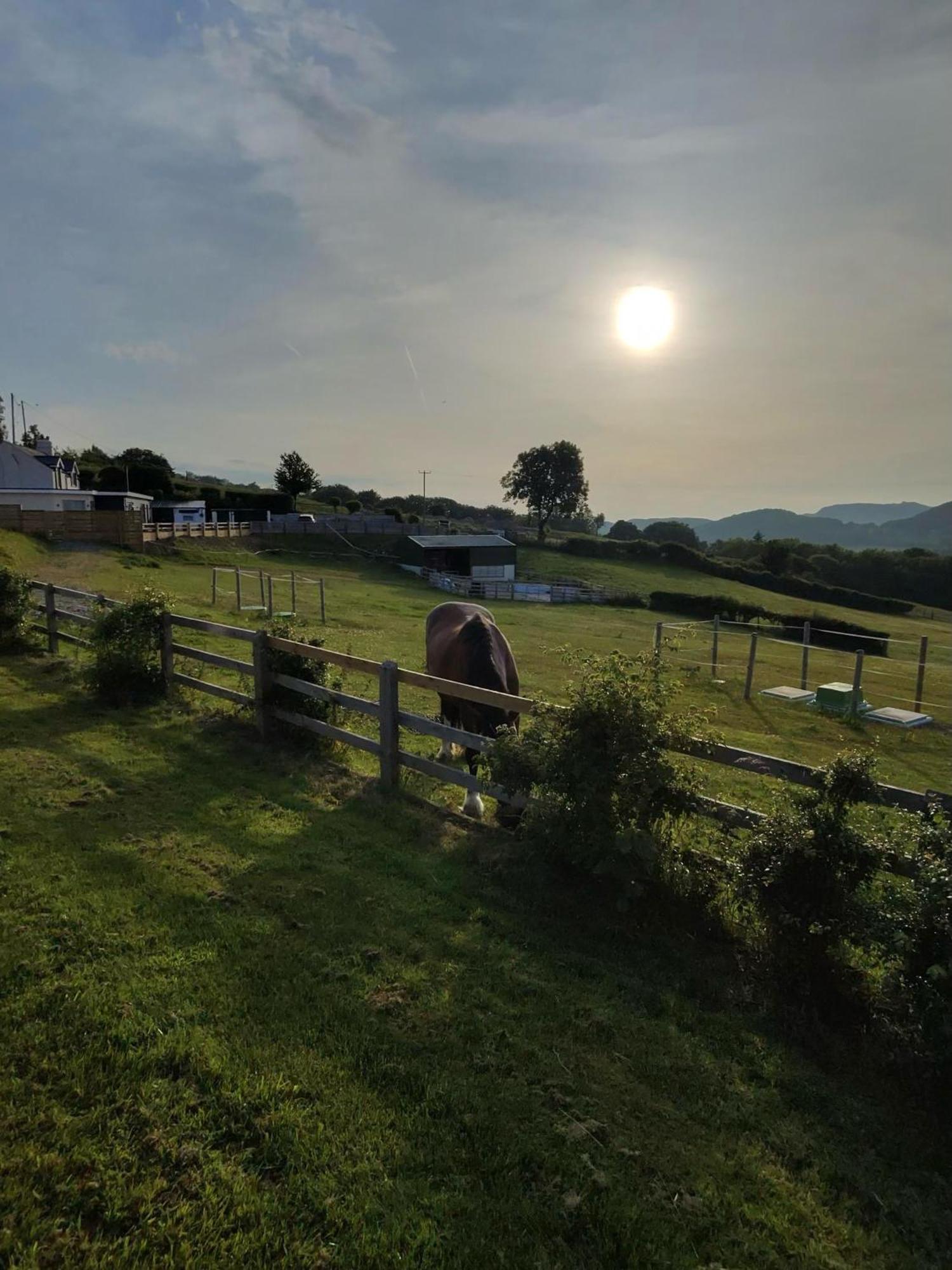 Camping Tan Y Bryn Glamping