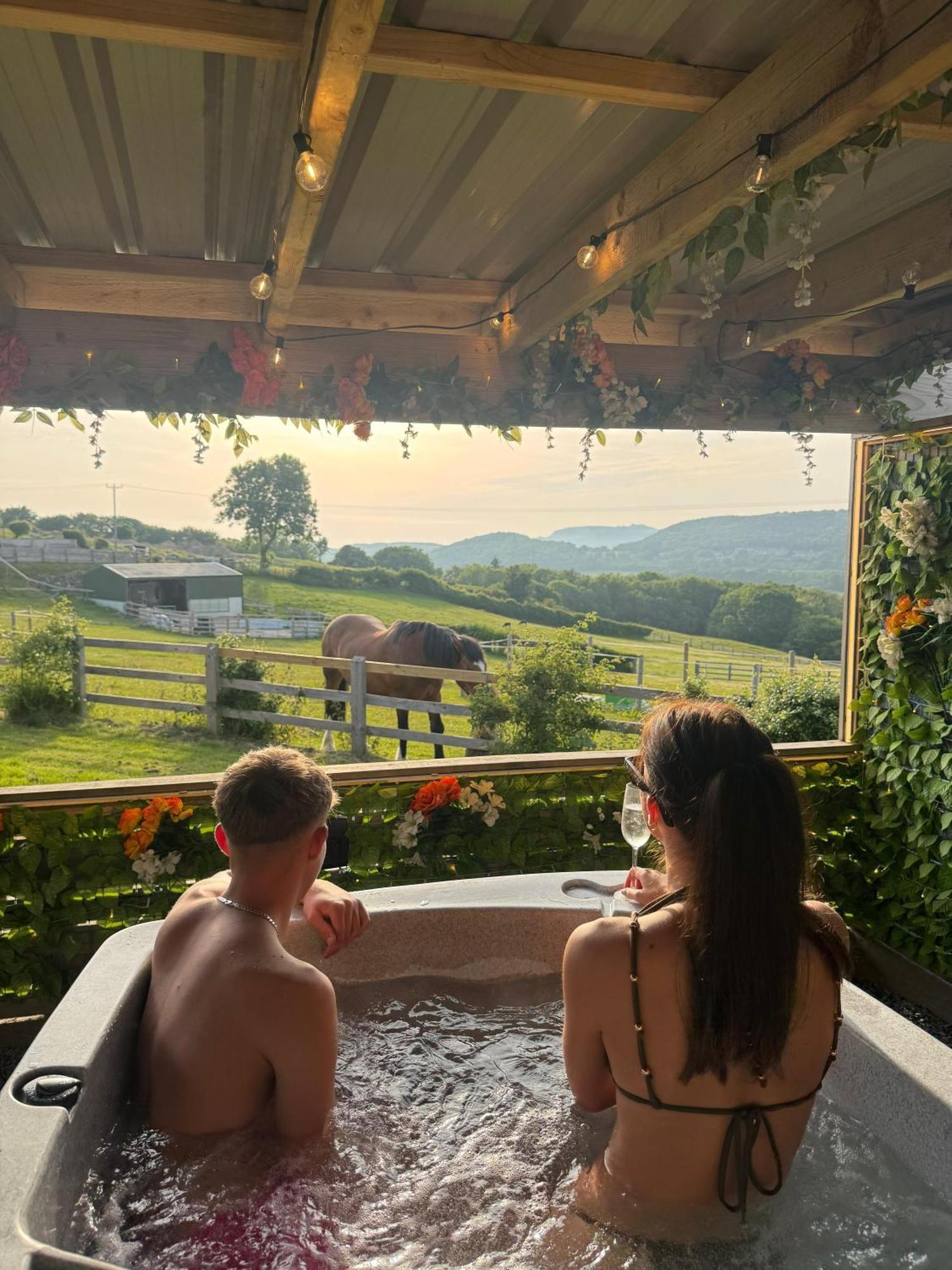 Tan Y Bryn Glamping Camping